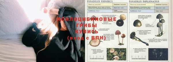 экстази Калининец