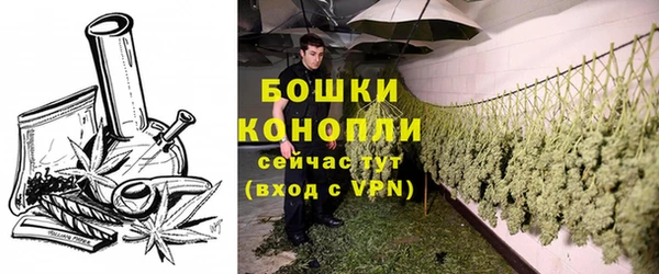 спайс Фёдоровский