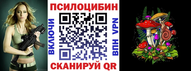 Галлюциногенные грибы мицелий  Купить  Няндома 