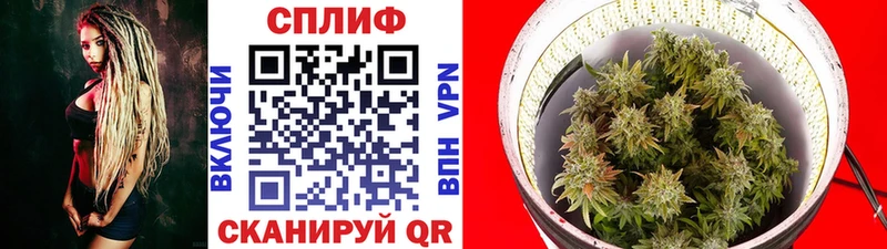 Купить  Няндома  Конопля SATIVA & INDICA 